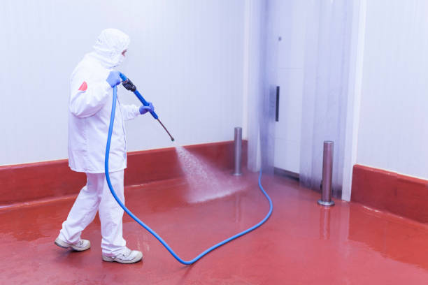 Best Patio and Deck Pressure Washing  in Burlington, OH